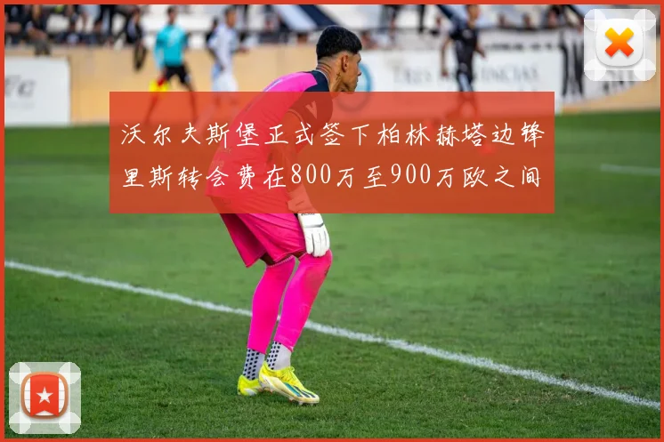 沃尔夫斯堡正式签下柏林赫塔边锋里斯转会费在800万至900万欧之间